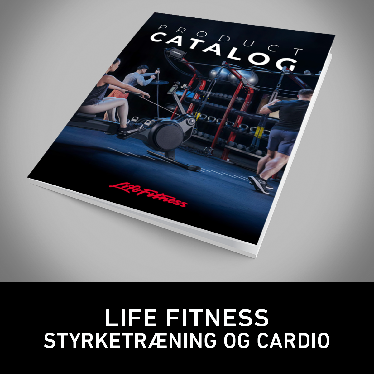 LF_katalog_2024_thumbnail