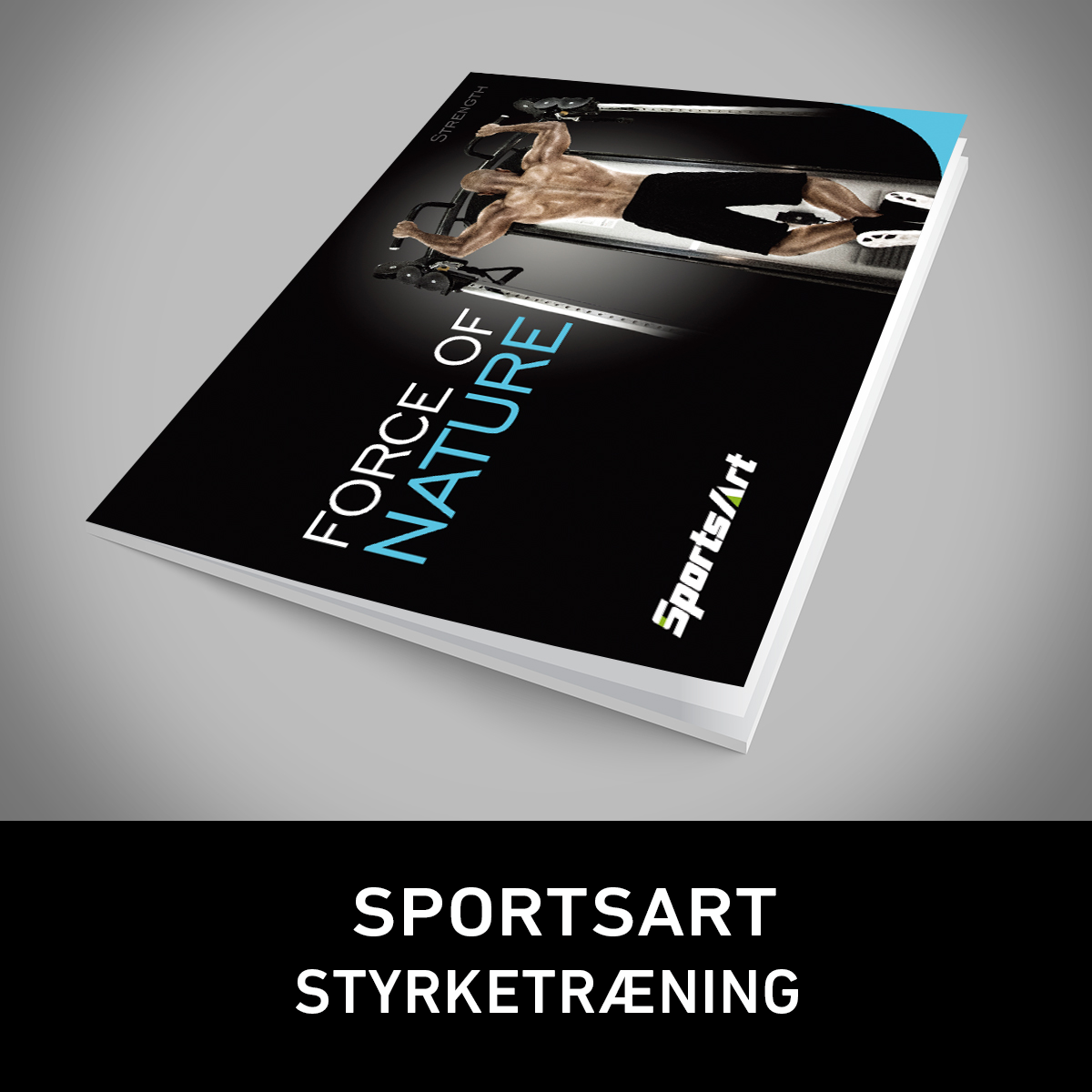 SPORTSART_STYRKE