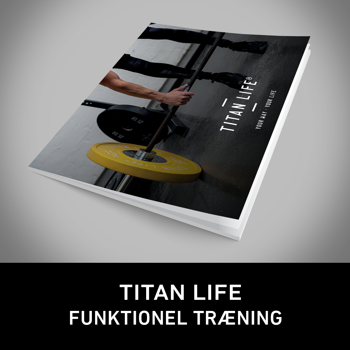 TITAN_LIFE_NY
