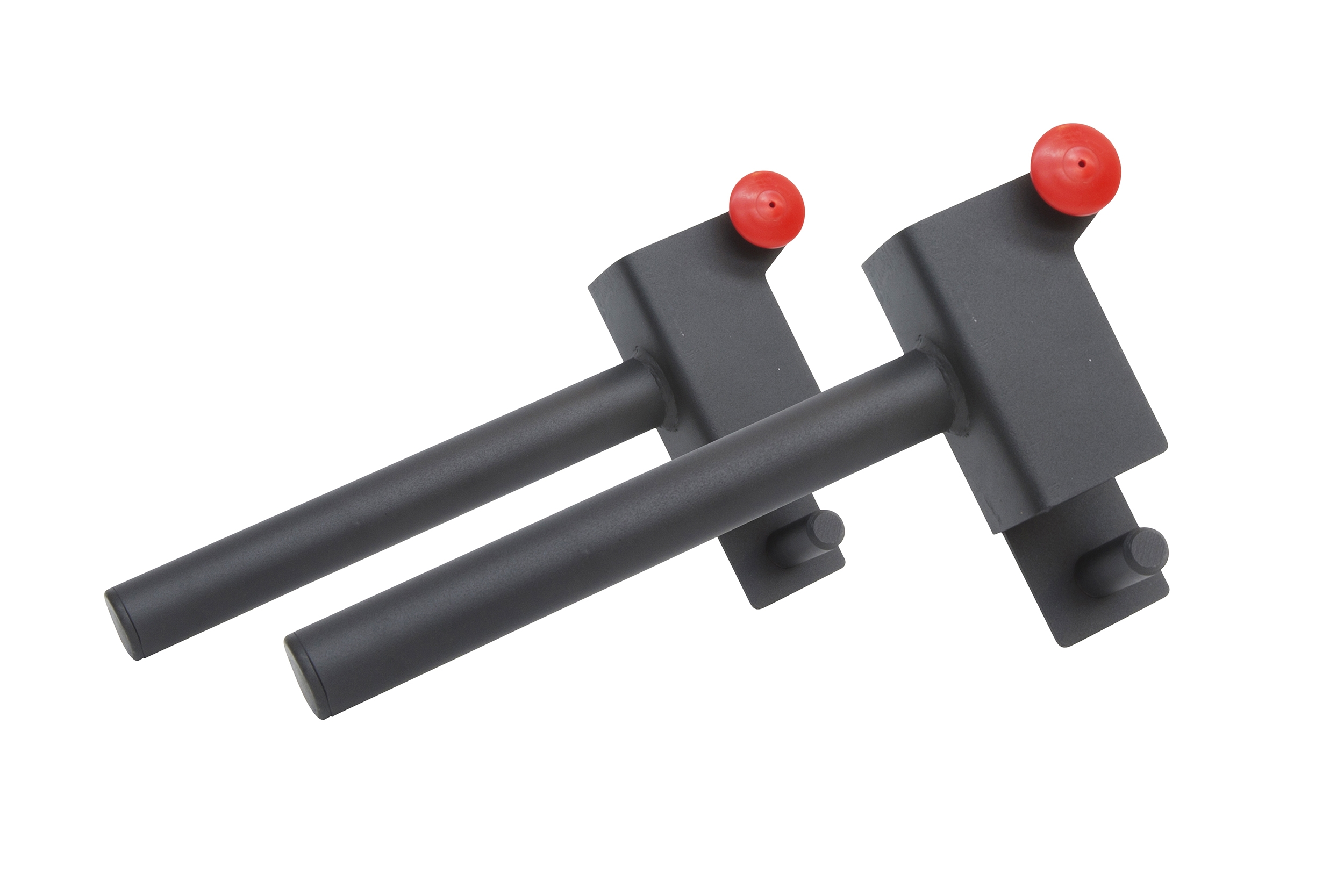 TITAN LIFE PRO Rig Plate Storage, set of 2