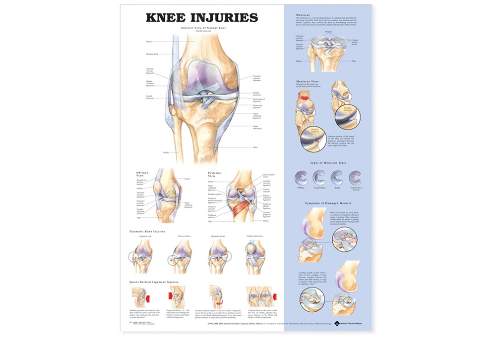 NBN Planche Knee Injuries