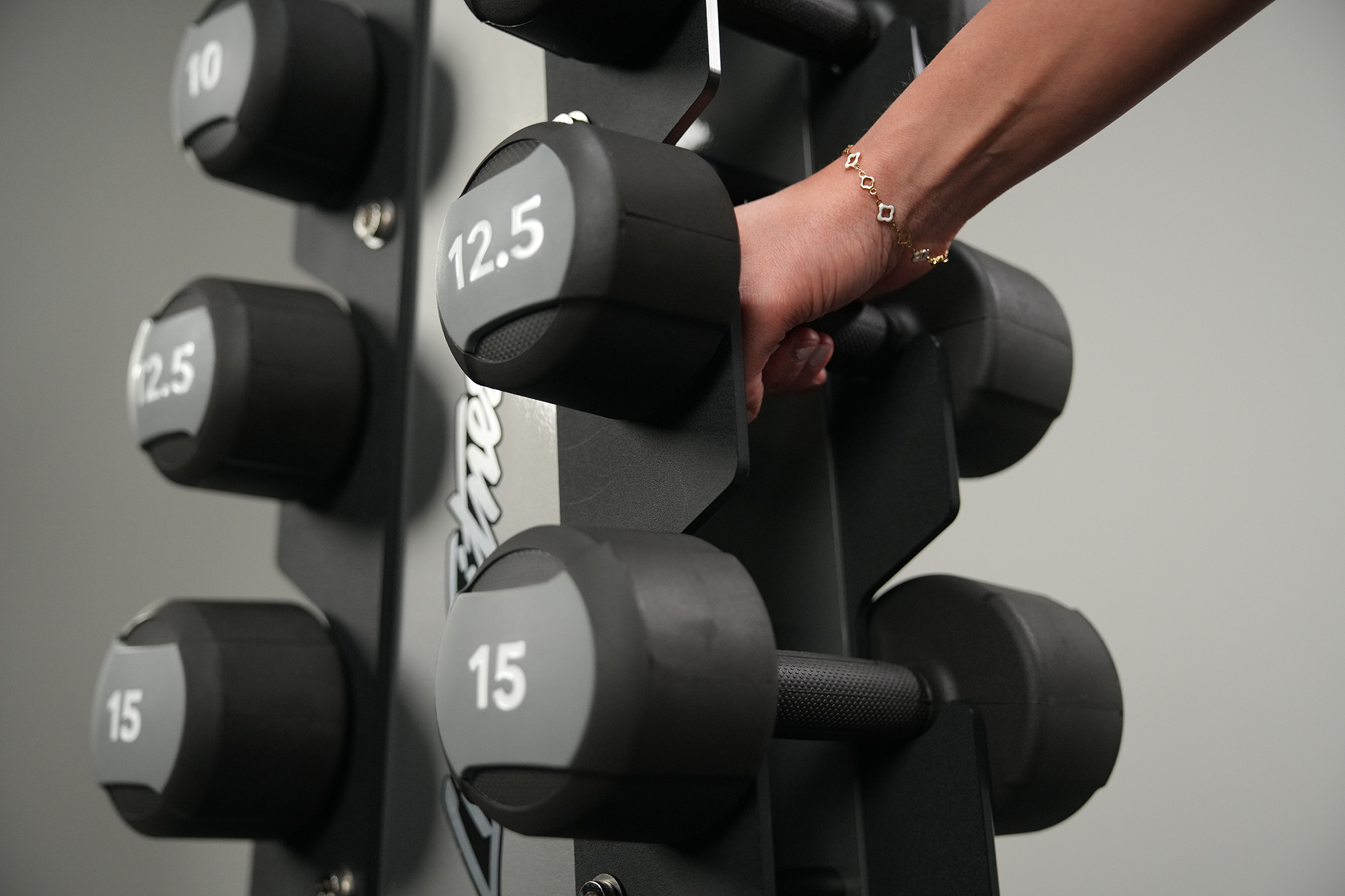Life Fitness B&R Vertical Dumbbell Rack