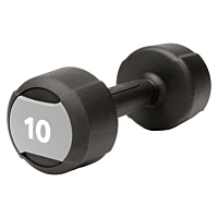  Life Fitness Studio Dumbbell 10 kg