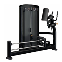  Life Fitness Insignia Glute