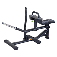  SportsArt PLS A981 Seated Calf