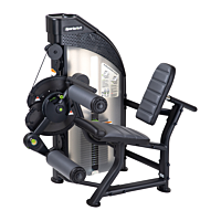  SportsArt DF300 Leg Extension/Leg Curl