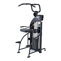  SportsArt DF307 Assisted Chin/Dip