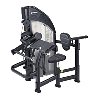  SportsArt DF305 Biceps/Triceps