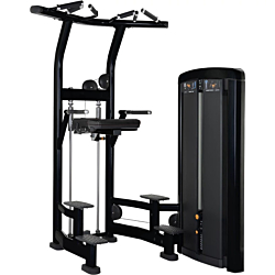 Life Fitness Insignia Assist Dip & Chin
