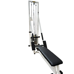 Brugt - Technogym Low Row
