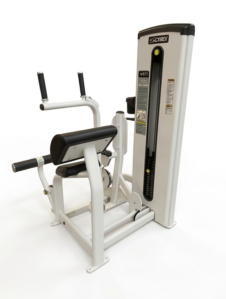 Brugt - Cybex VR1 Abdominal/Backextension Dual