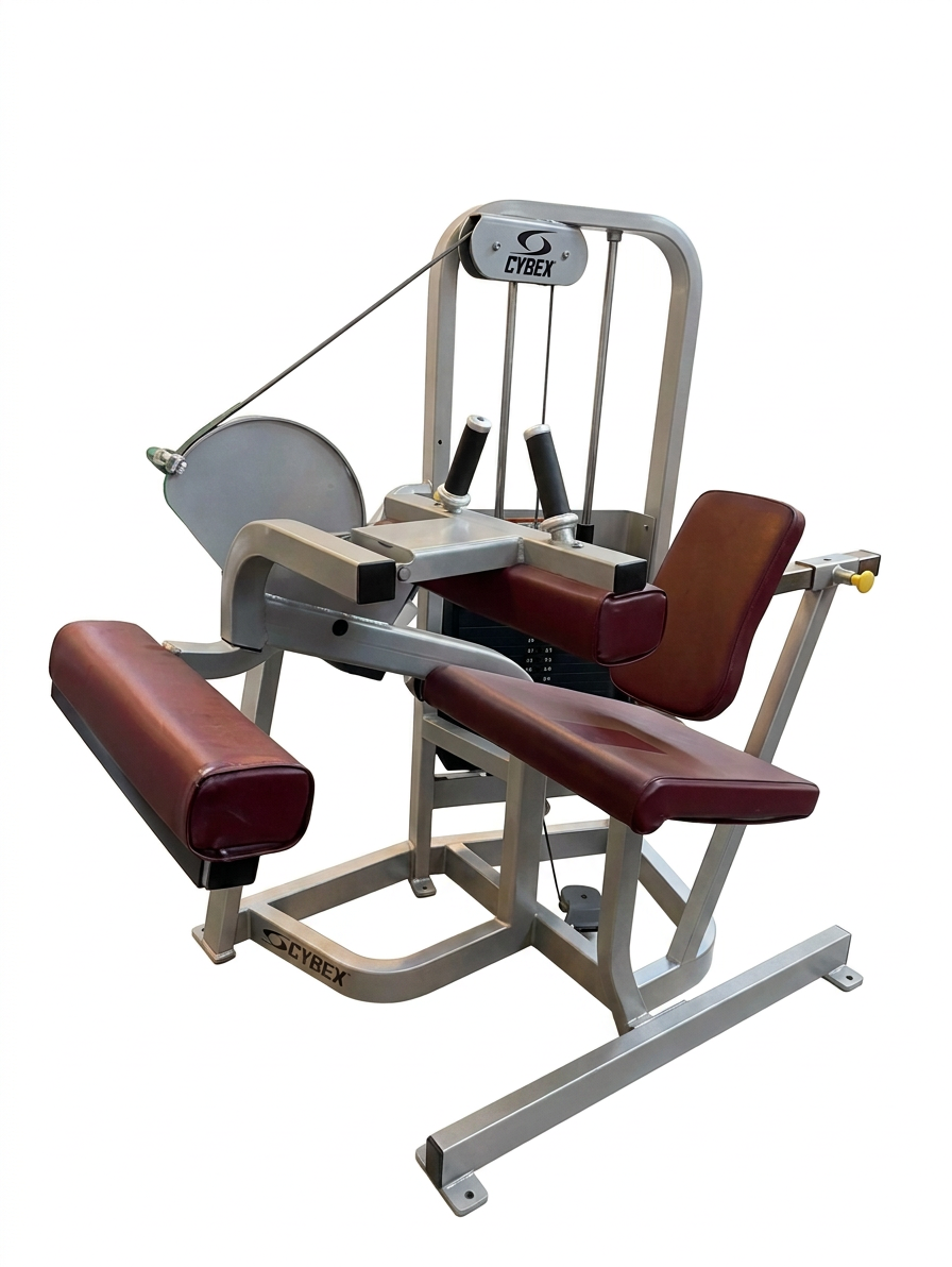 Brugt - Cybex VR Leg Curl