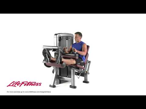 Life Fitness Insignia Series Leg Curl (Seated)