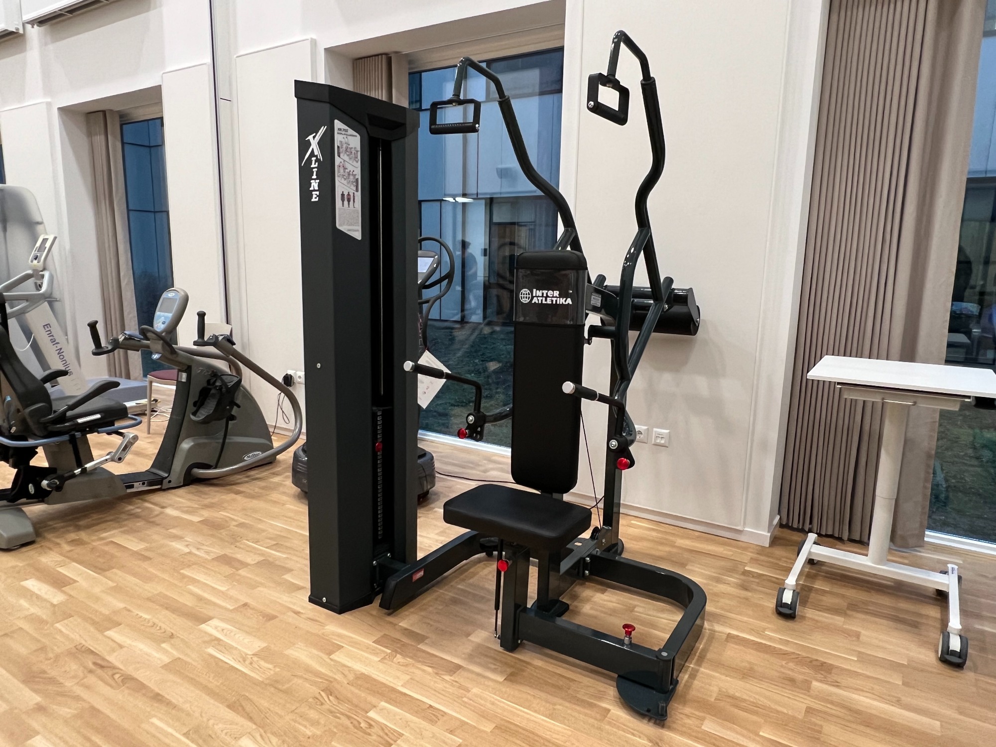 Proterapi Dips/Pulldown