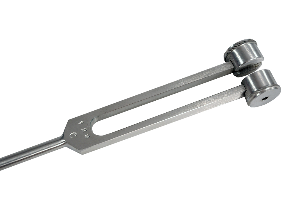 SAEHAN Stemmegaffel 256 cps