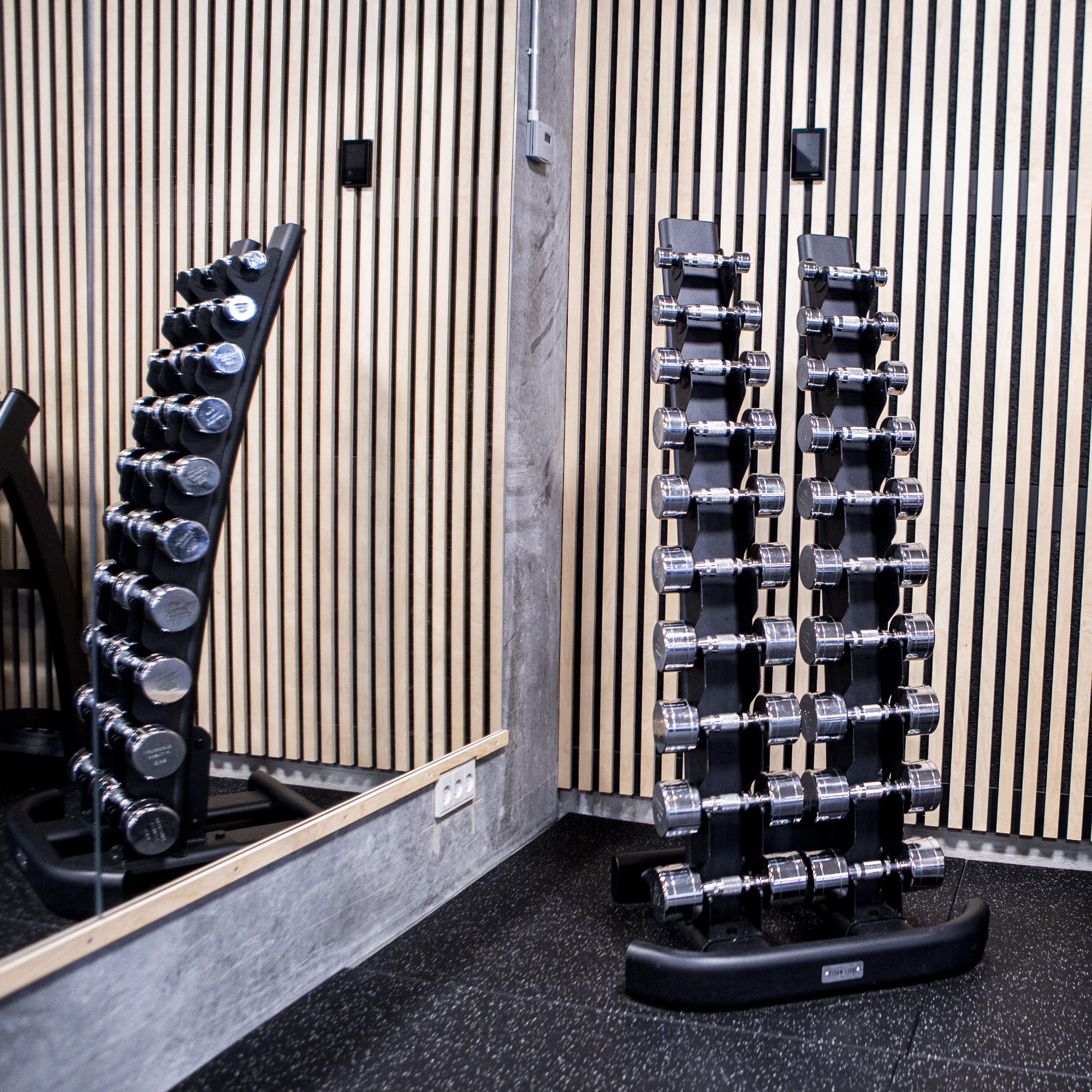 TITAN LIFE PRO Chrome Dumbbell Rack 10 Pairs