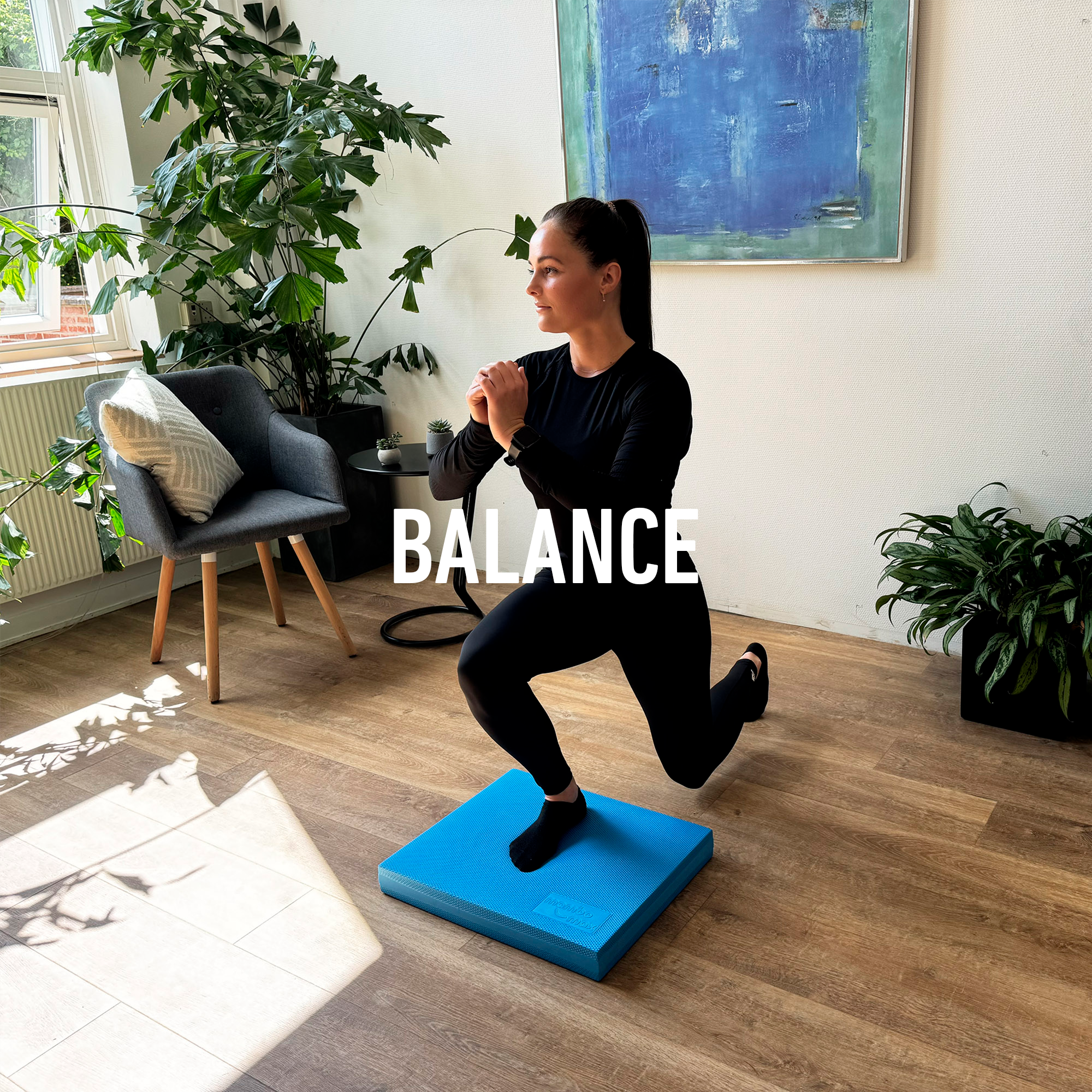 BALANCE_FORSIDE